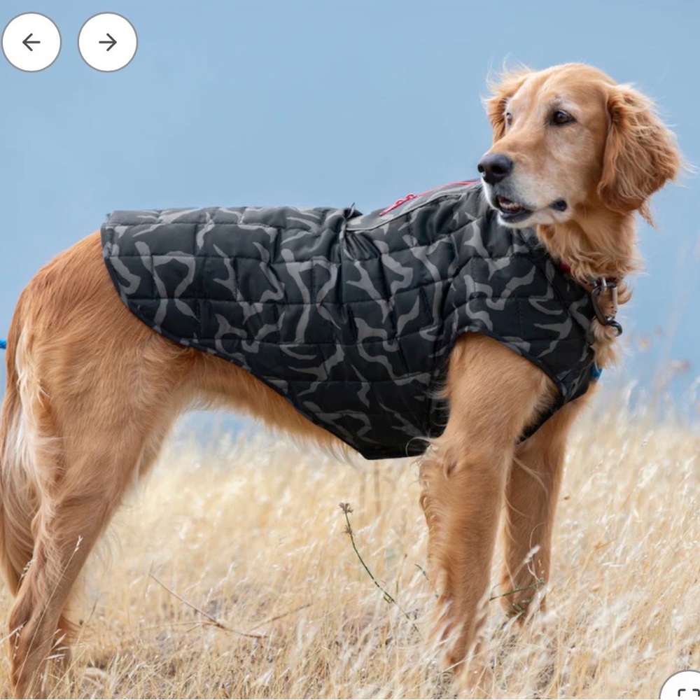 Kurgo Loft reversible‎ dog jacket